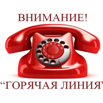 «Горячая линия» по вопросам профилактики гриппа и ОРВИ. «Горячая линия» по вопросам профилактики гриппа и ОРВИ.