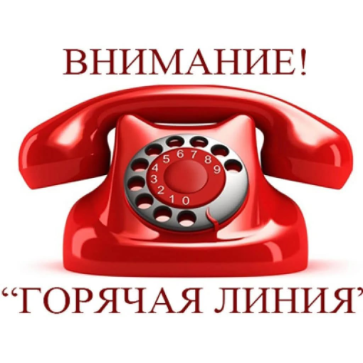 «Горячая линия» по вопросам профилактики гриппа и ОРВИ. «Горячая линия» по вопросам профилактики гриппа и ОРВИ.